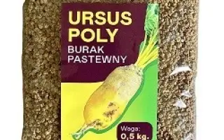 Ursus Poly Bis / Урсус Полі Біс