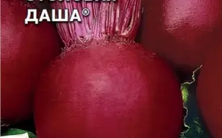 Дарина