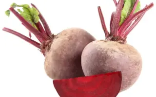 Magnum / Магнум