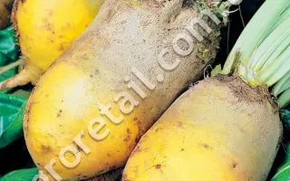 Панфильская односемянний / Панфільський однонасінний