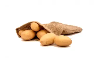 7 FOUR 7 / 7 ФОР 7