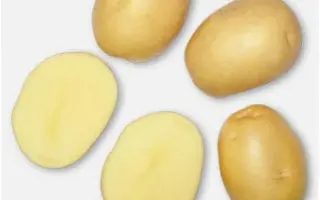 Actrice / Актріс