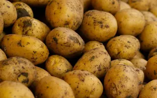 Acoustic / Акустік