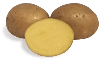 Allora / Аллора