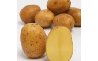 Anuschka / Анушка