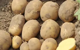 Arizona / Арізона