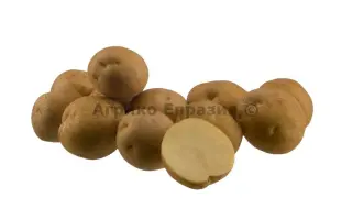 Arsenal / Арсенал