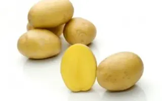 Belmonda / Бельмонда