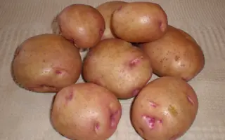 Бородянский розовый / Бородянська рожева