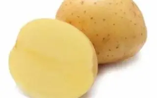 VIVIANA / ВІВІАНА