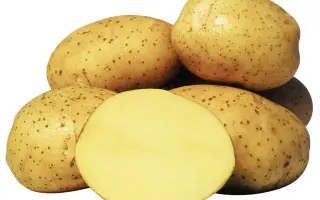 Vineta / Вінета