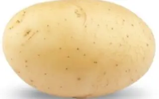 HERACLEA / Гераклея