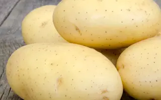 Granada / Гранада