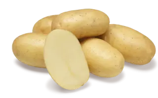 JOLENE / ДЖОЛІН