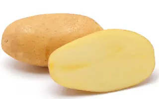 DONATA / ДОНАТА