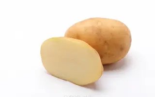 Eurostarch / Євростарч