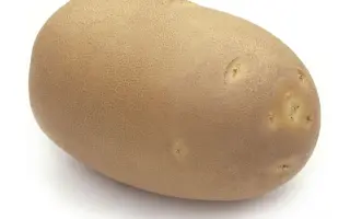 Innovator / Інноватор