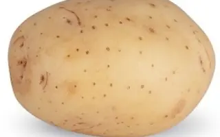 CAYMAN / Кайман