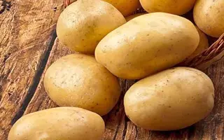 Сarrera / Каррера