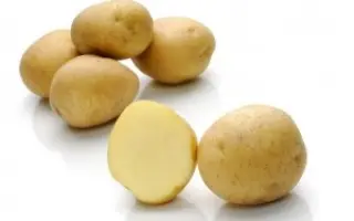 Caruso / Карузо