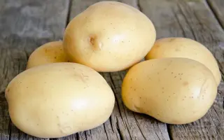 Connect / Коннект