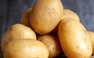 Corinna / Корінна