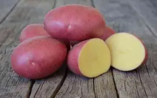 Labella / Лабелла