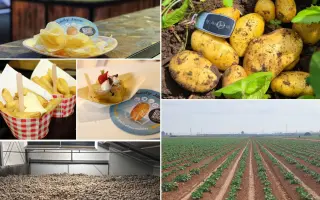 Lady Jane / Леді Джейн