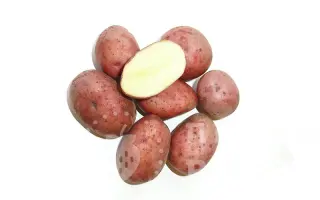 LUNEBA / ЛУНЕБА