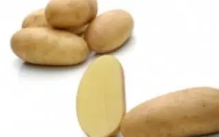 Ludmilla / Людмила