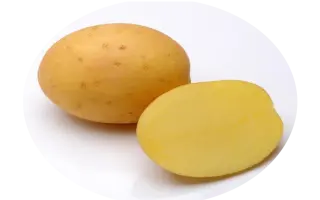 Madeira / Мадейра