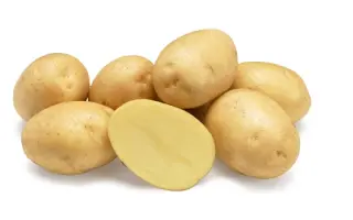 Madeleine / МАДЛЕН