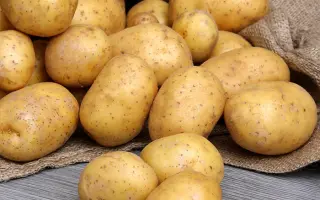 Меlody / Мелоді