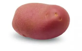 Memphis / Мемфіс