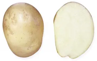 NAFIDA / НАФІДА