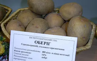 Оберіг