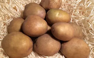 Околиця