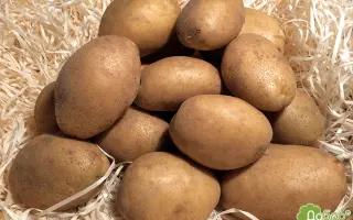 Partner / Партнер