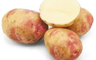 Picasso / Пікассо