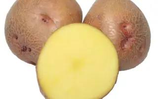 Повинь / Повінь