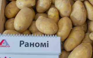 RANOMI / РАНОМІ