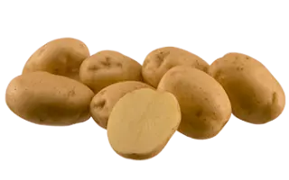 Riviera / Рів'єра