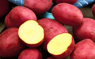 Rodriga / Родріга