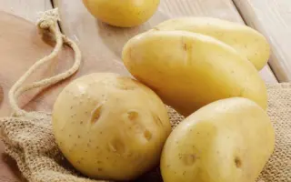 Sunshine / Саншайн