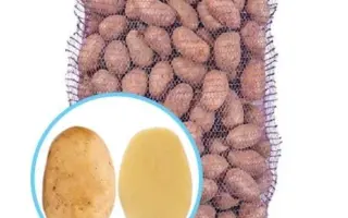 Sensation / Сенсейшн