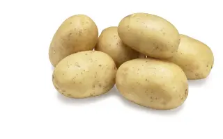 SPECTRA / СПЕКТРА