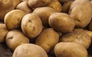 Fabula / Фабула