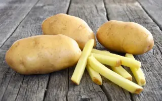 FONTANE / ФОНТАНЕ