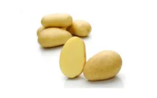 Velox / Велокс