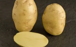 Victoria / Вікторія